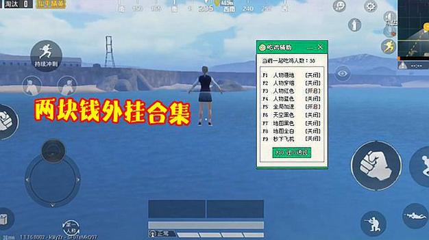 和平精英辅助【火焰鸟直装V6.0终极修复版】射线透视 准星聚点 空投透视 人物变大 显示手持 透视雷达